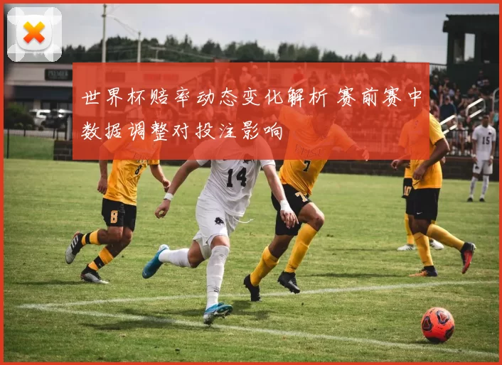 世界杯赔率动态变化解析 赛前赛中数据调整对投注影响