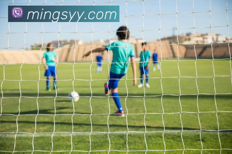 EMC易倍(中国)官方网站 - 专业体育文旅服务商APP 封面图